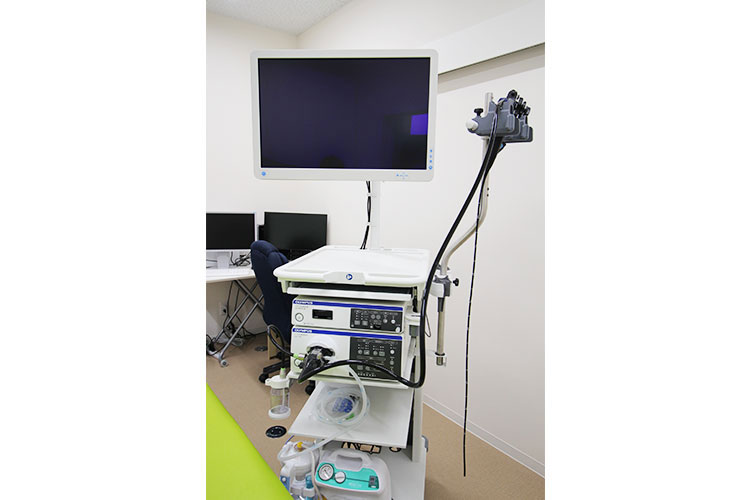 上部内視鏡（胃カメラ検査）