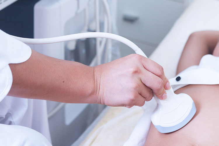 超音波エコー検査画像